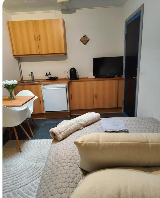 1-vaerelseslejlighed I Centrum Apartamento